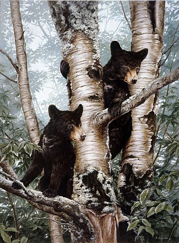 Looking for Mom - Black bear Cubs by Ron Orlando